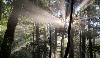 Vườn Quốc gia Kon Ka Kinh - món quà thiên nhiên vô giá của cao nguyên Gia Lai