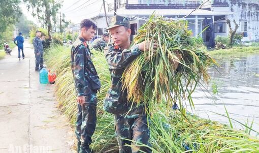 Cán bộ, chiến sĩ quân sự xã Vĩnh Thuận giúp dân thu hoạch lúa