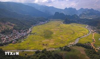 Mùa vàng trên thung lũng Chiềng Sinh ở Điện Biên