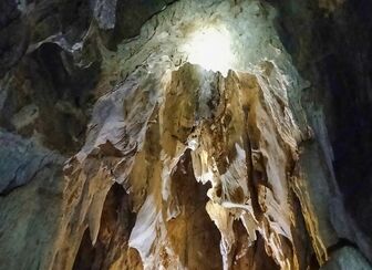 Phát hiện hang động nhiều tầng trong rừng nguyên sinh ở Nghệ An