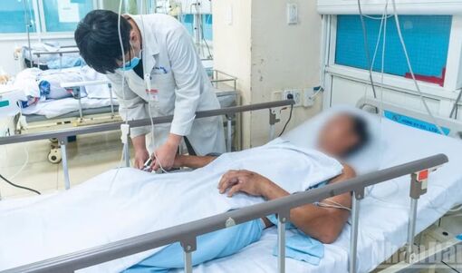 Bệnh viện Quân y 120 cứu thành công một bệnh nhân bị rắn cắn nguy kịch
