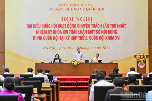 Đánh giá kỹ lưỡng về mức phạt tiền tối đa trong xử phạt vi phạm hành chính