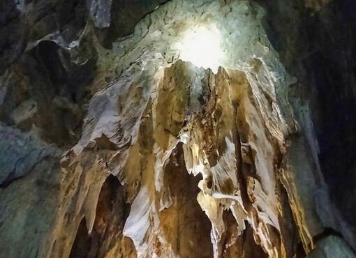 Phát hiện hang động nhiều tầng trong rừng nguyên sinh ở Nghệ An