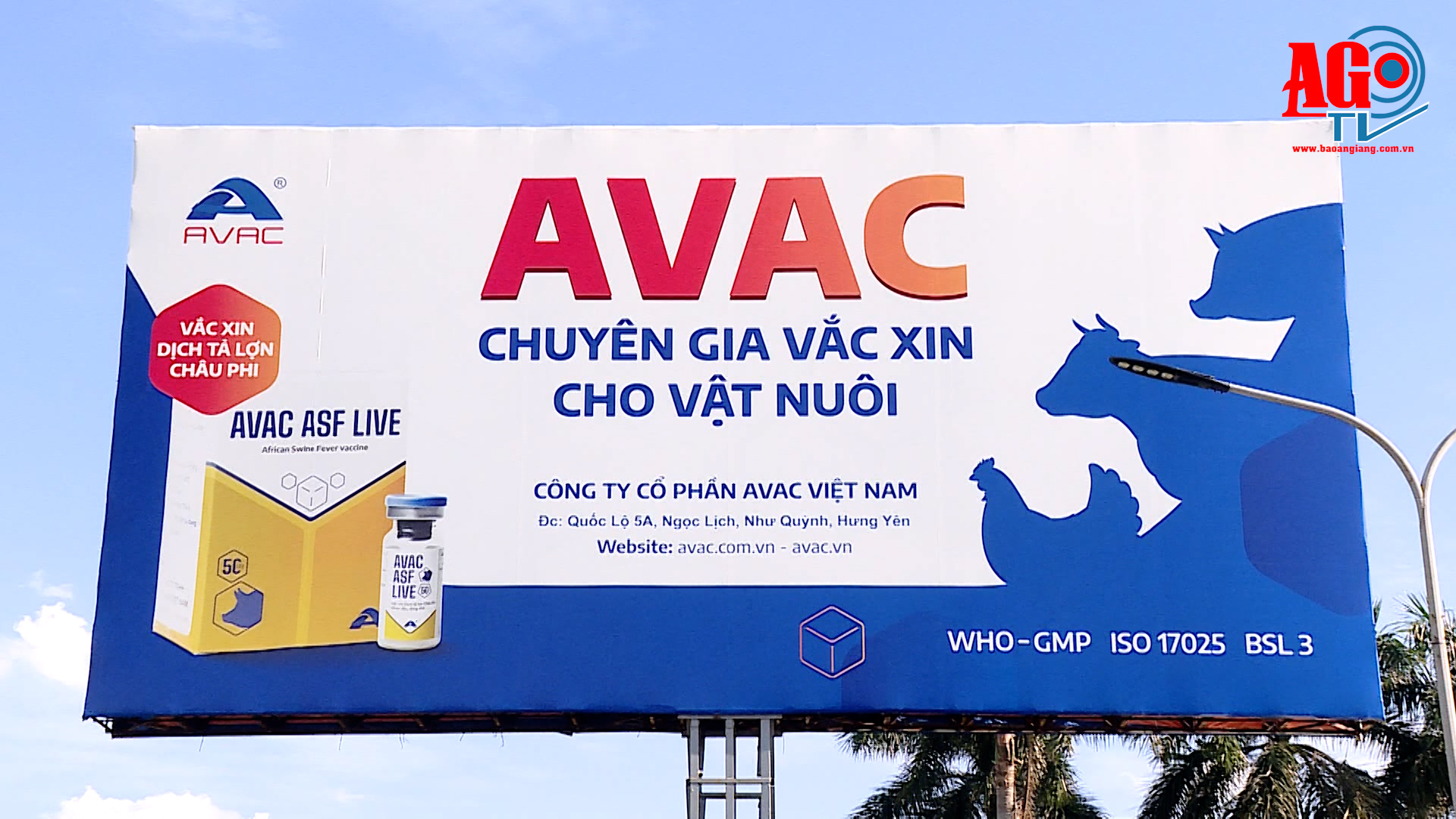 Việt Nam xuất khẩu lô vaccine dịch tả lợn châu Phi lớn nhất từ trước đến nay