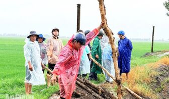 Cô Tô chủ động bảo vệ sản xuất