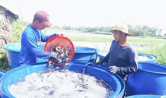 An Biên thực hiện đạt, vượt 21/24 chỉ tiêu nghị quyết