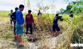 Rủ nhau đi săn chuột đồng vào mùa no lúa miền Tây