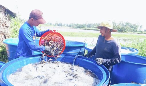 An Biên thực hiện đạt, vượt 21/24 chỉ tiêu nghị quyết