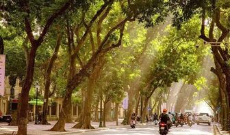 Thời tiết ngày 1/10: Bắc Bộ và Trung Bộ ngày nắng, Nam Bộ có mưa dông