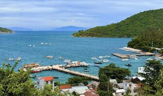Từ ánh điện đến sức sống biển