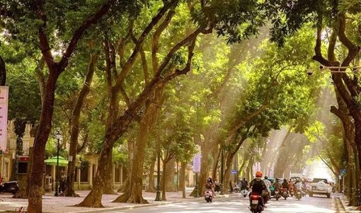 Thời tiết ngày 1/10: Bắc Bộ và Trung Bộ ngày nắng, Nam Bộ có mưa dông