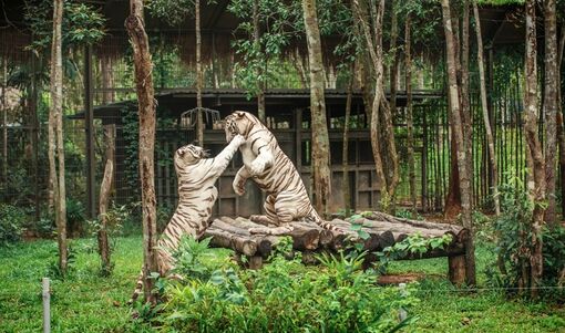 Nắm giữ “kỷ lục kép” thế giới - Vinpearl Safari Phú Quốc “khủng” cỡ nào?