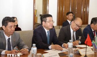 Khai mở dư địa hợp tác kinh tế, thương mại Việt Nam - Nam Phi
