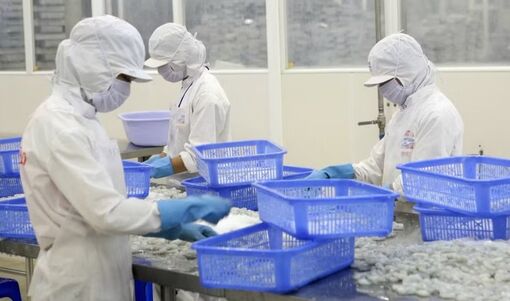 Giữ thị phần nông sản Việt Nam tại ASEAN