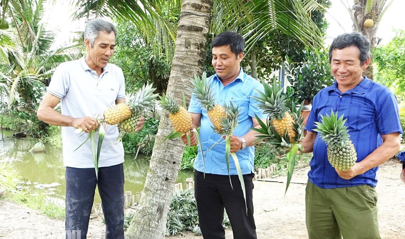 Khóm Long Thạnh - hướng đi mới