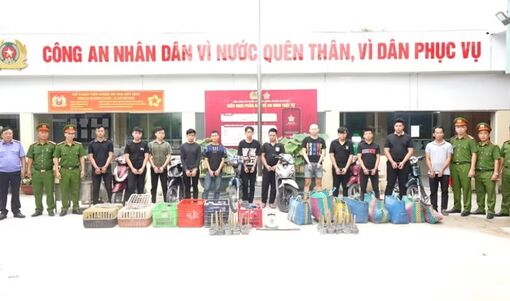 Khởi tố, bắt tạm giam 12 bị can trong vụ trộm cắp gần 3.000 con mèo