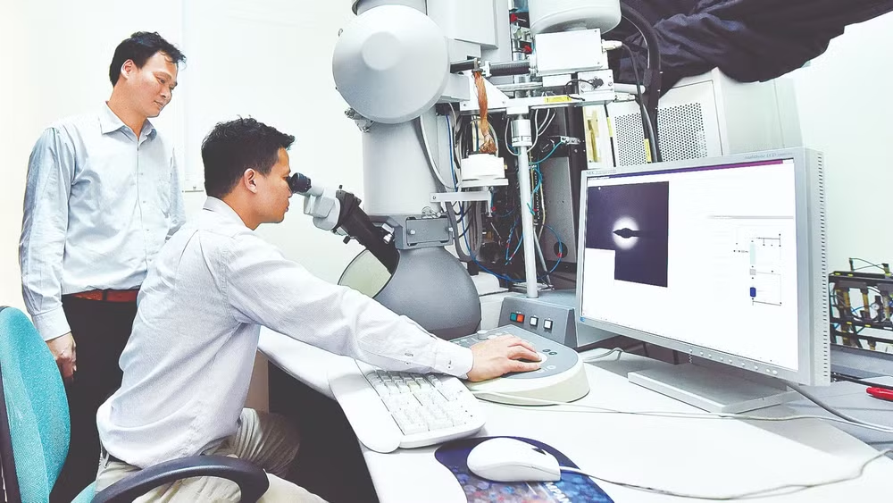 Bộ Giáo dục và Đào tạo hướng dẫn xác định nhóm 30% điểm cao nhất để xét hưởng học bổng Chính phủ