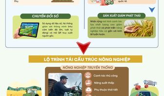 Nghị quyết 57-NQ/TW đột phá chuyển đổi: Công nghệ tái cấu trúc nông nghiệp