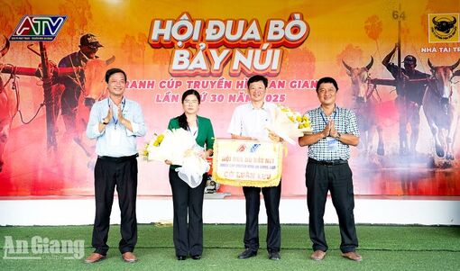 Báo và phát thanh, truyền hình An Giang đồng hành cùng Hội đua bò Bảy Núi