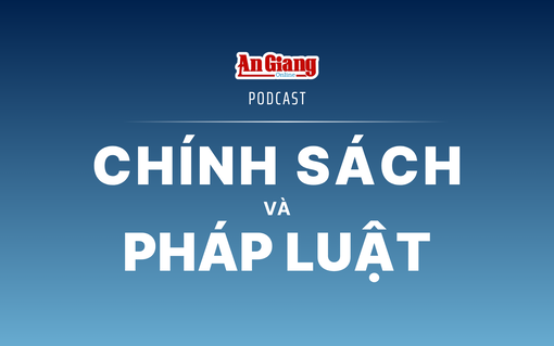 [Podcast] Nghị định 381/2026/NĐ-CP: Ai được hưởng phụ cấp công vụ, mức bao nhiêu?