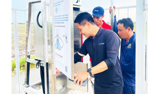 Hòa Điền đưa hệ thống giám sát côn trùng vào đồng ruộng
