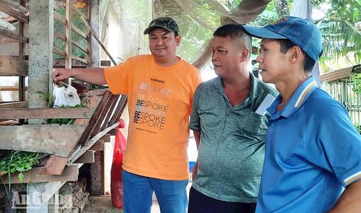 Tập huấn quy trình kỹ thuật chăn nuôi an toàn sinh học cho 30 viên chức khuyến nông