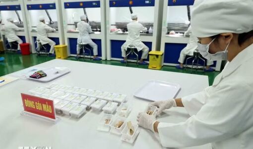 Tăng năng lực giám định ADN để hơn 207.000 hài cốt liệt sỹ có thêm cơ hội được xác định danh tính