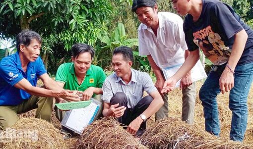 Nhiều hoạt động khuyến nông tại xã Châu Phú