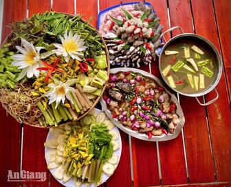 Bông súng mùa nước nổi
