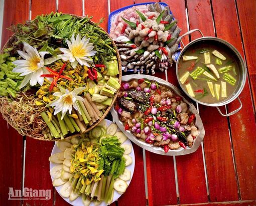 Bông súng mùa nước nổi