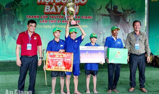 Đôi bò số 23 vô địch Hội đua bò Bảy Núi tranh cúp ATV lần thứ 31