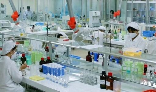 Việt Nam phấn đấu tự chủ 20% nhu cầu nguyên liệu làm thuốc vào năm 2030