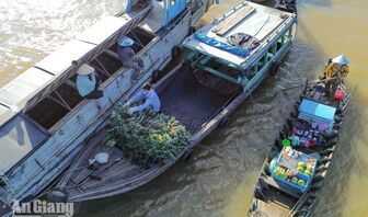 [Ảnh] Nhịp sống chợ nổi Long Xuyên