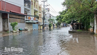Người dân Mỹ Thới mong sớm nâng cấp đường Trần Quang Khải
