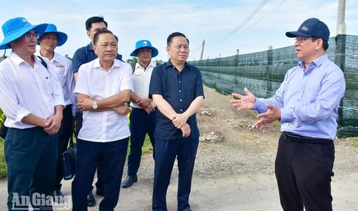 An Giang tháo gỡ vướng mắc, thúc đẩy dự án nông nghiệp công nghệ cao