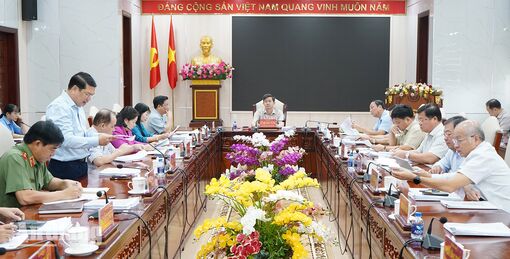 Ban Thường vụ Tỉnh ủy An Giang cho ý kiến về các cơ chế, chính sách mới