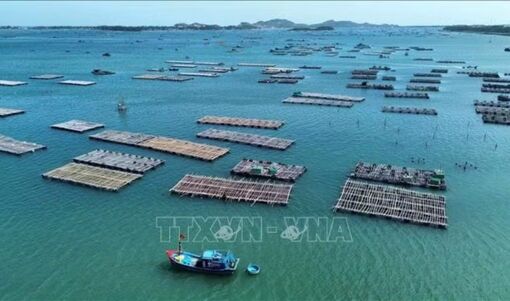 Giảm rủi ro nuôi trồng thủy sản trước tác động từ El Nino