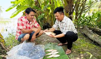 Hiệu quả mô hình sinh kế mùa lũ tại xã Hòa Thuận