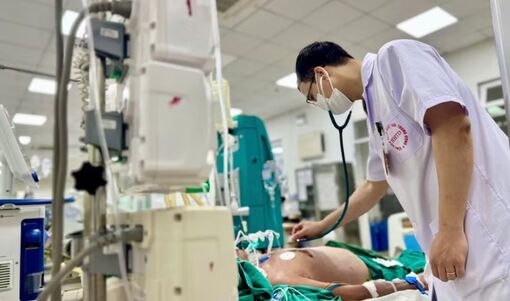 Liên cầu lợn có thể gây điếc, hoại tử chi và tử vong