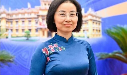 Quan hệ Việt Nam-Đan Mạch phát triển ngày càng sâu rộng, thực chất và hiệu quả