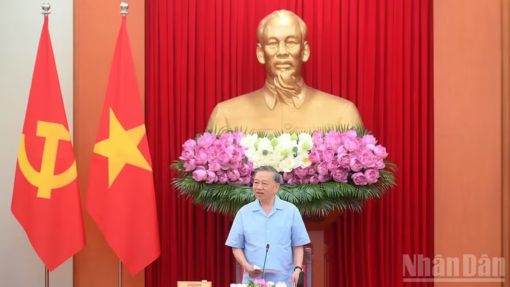 Quy định về đảng viên tham gia hoạt động đầu tư kinh doanh