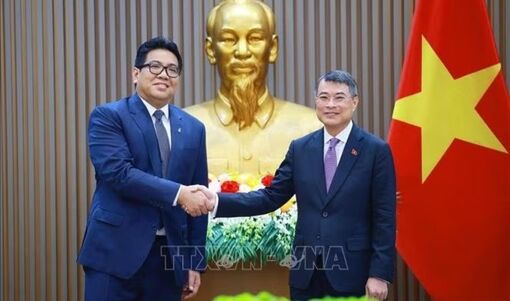Thủ tướng Lê Minh Hưng tiếp Chủ tịch kiêm Tổng Giám đốc Tập đoàn PETRONAS