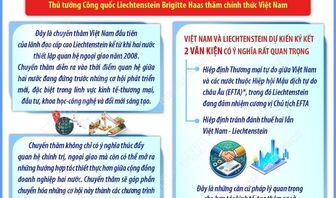 Quan hệ hữu nghị và hợp tác Việt Nam-Liechtenstein