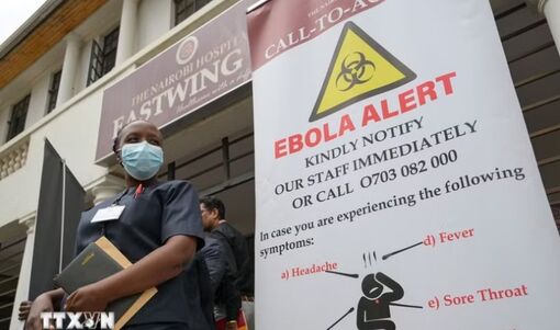 WHO nâng mức độ sẵn sàng ứng phó dịch Ebola tại 22 quốc gia trên ba châu lục