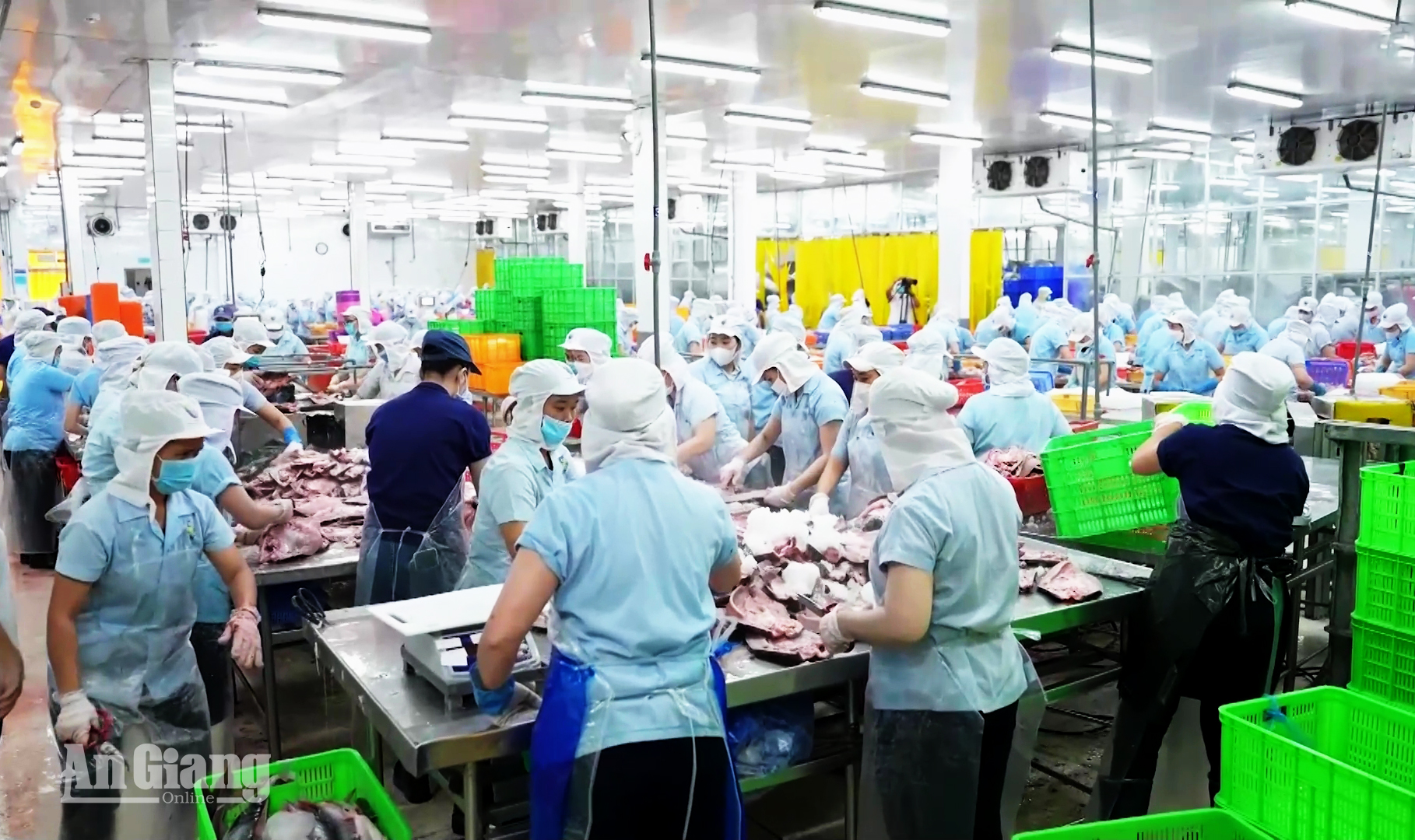 [Video] An Giang tăng tốc công nghiệp, thúc đẩy xuất khẩu cuối năm