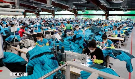 Cơ hội mở rộng thương mại và đầu tư giữa Việt Nam với châu Âu