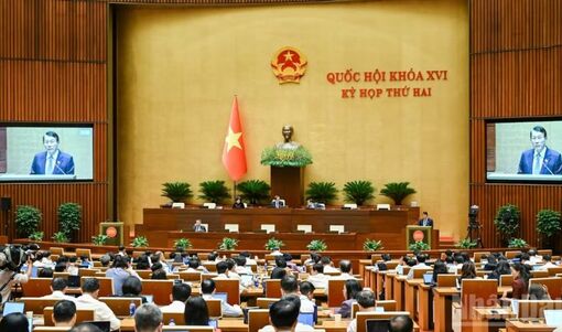 Quốc hội thảo luận dự án Bộ luật Hình sự (sửa đổi)