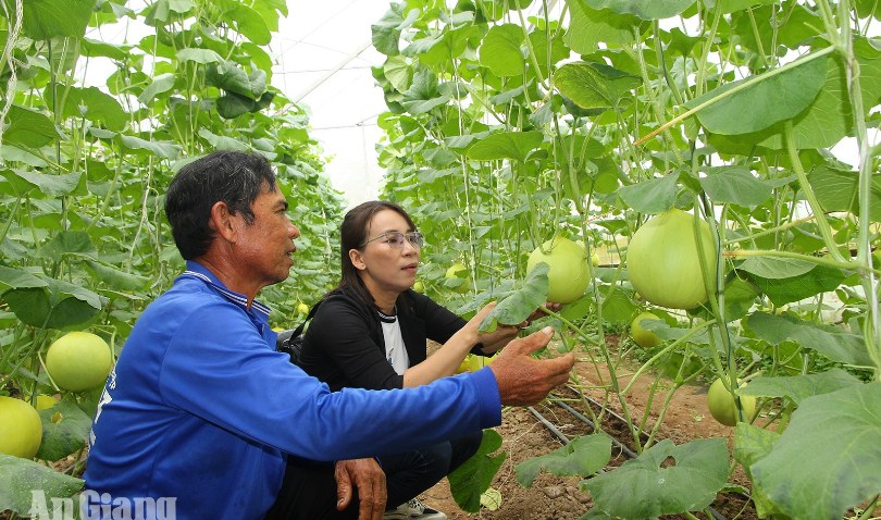Châu Phong đưa chuyển đổi số đến gần dân