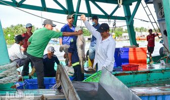 An Giang khắc phục hạn chế trong chống khai thác IUU