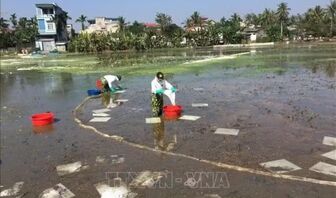 Chỉ thị của Bộ Chính trị về bảo đảm an ninh môi trường trong thời kỳ phát triển mới